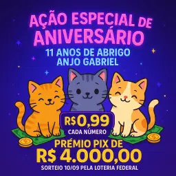 Ação Especial 11 anos de Abrigo Anjo Gabriel
