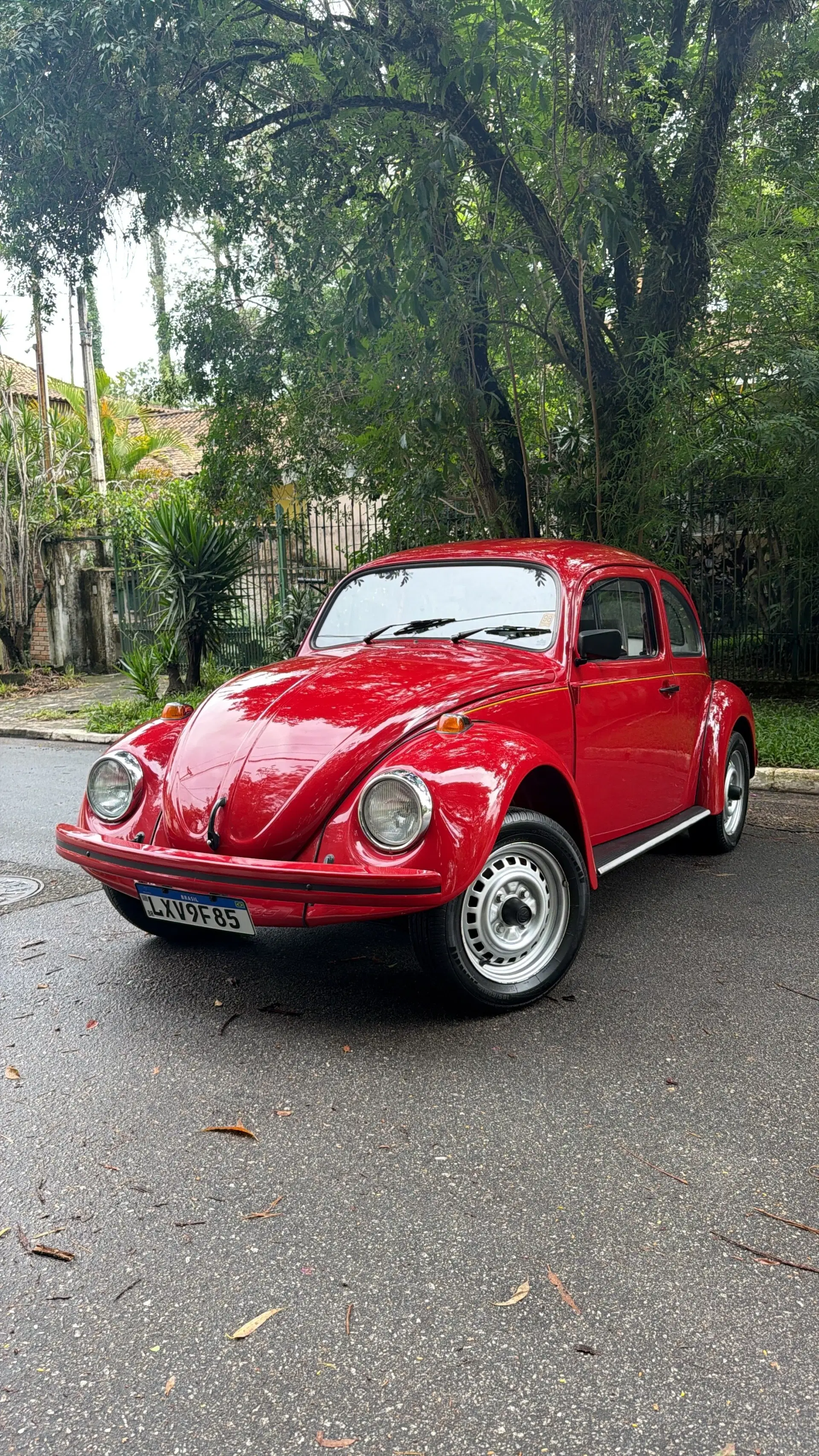 10ª imagem da campanha