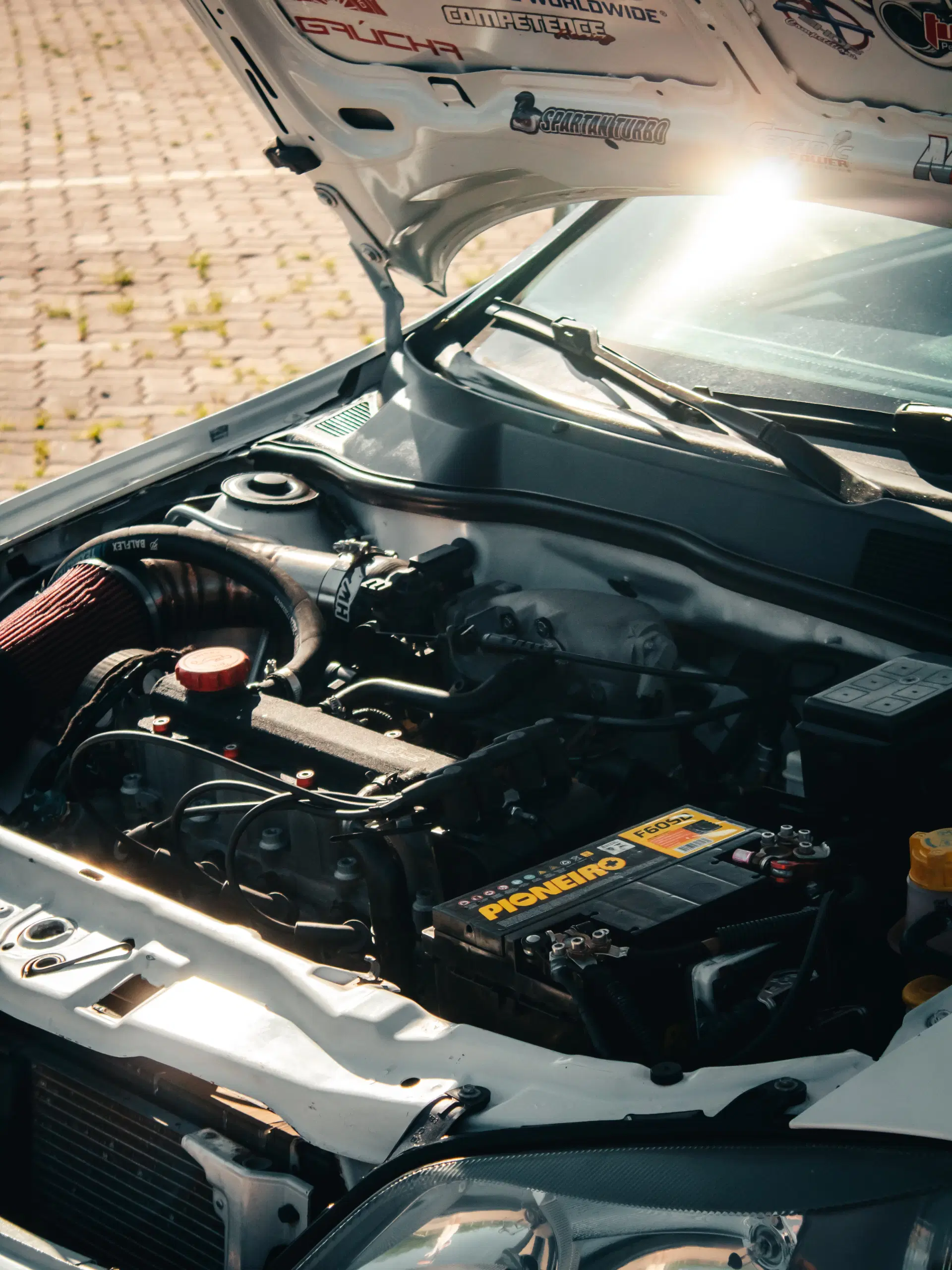 11ª imagem da campanha