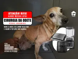 Ajude na cirurgia da Odete!