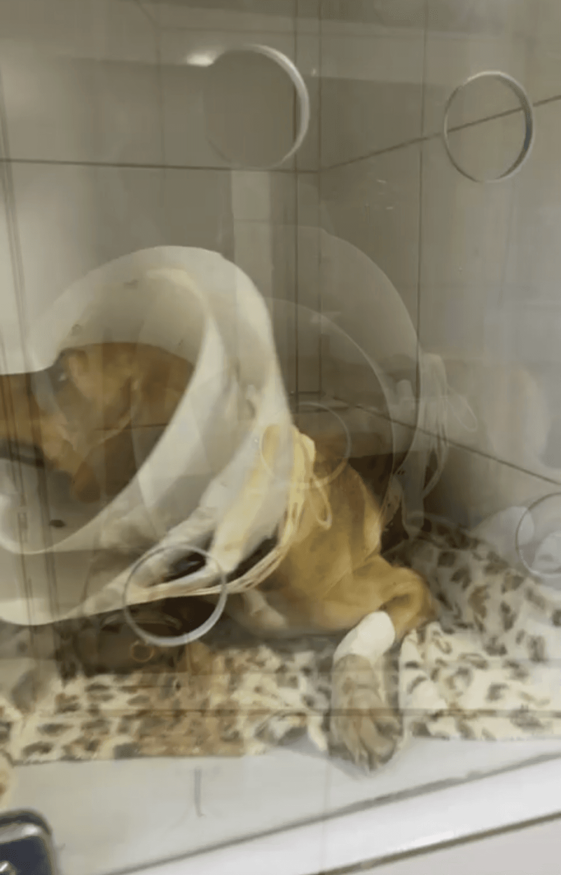 2ª imagem da campanha