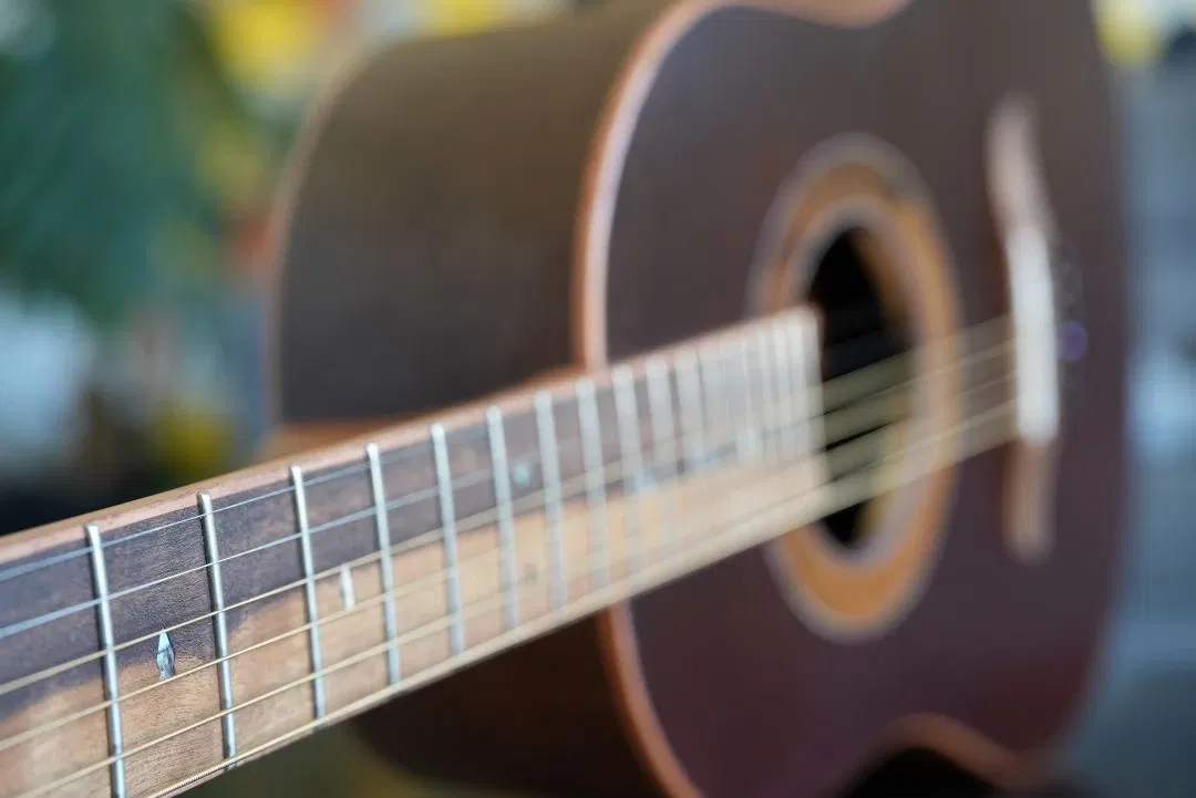 RIFA VIOLÂO RIZZI INSTRUMENTOS - FOLKJS