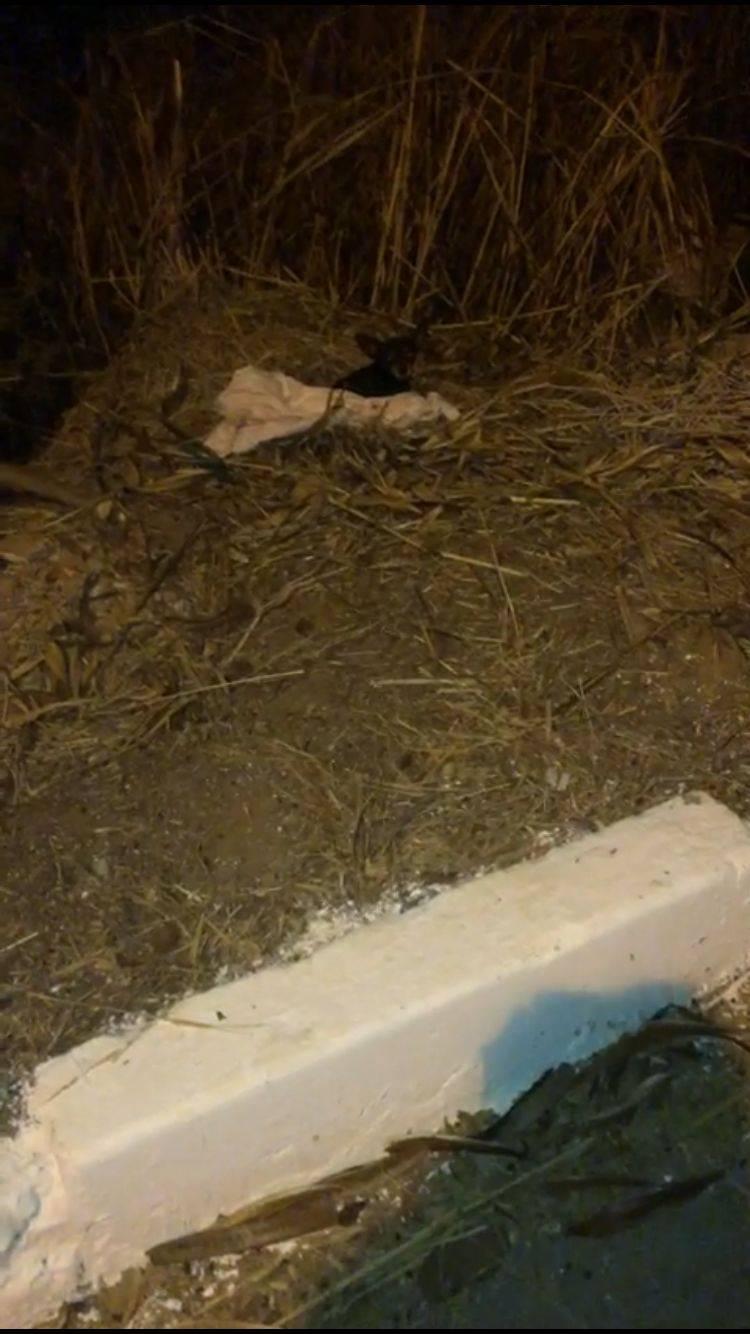 5ª imagem da campanha