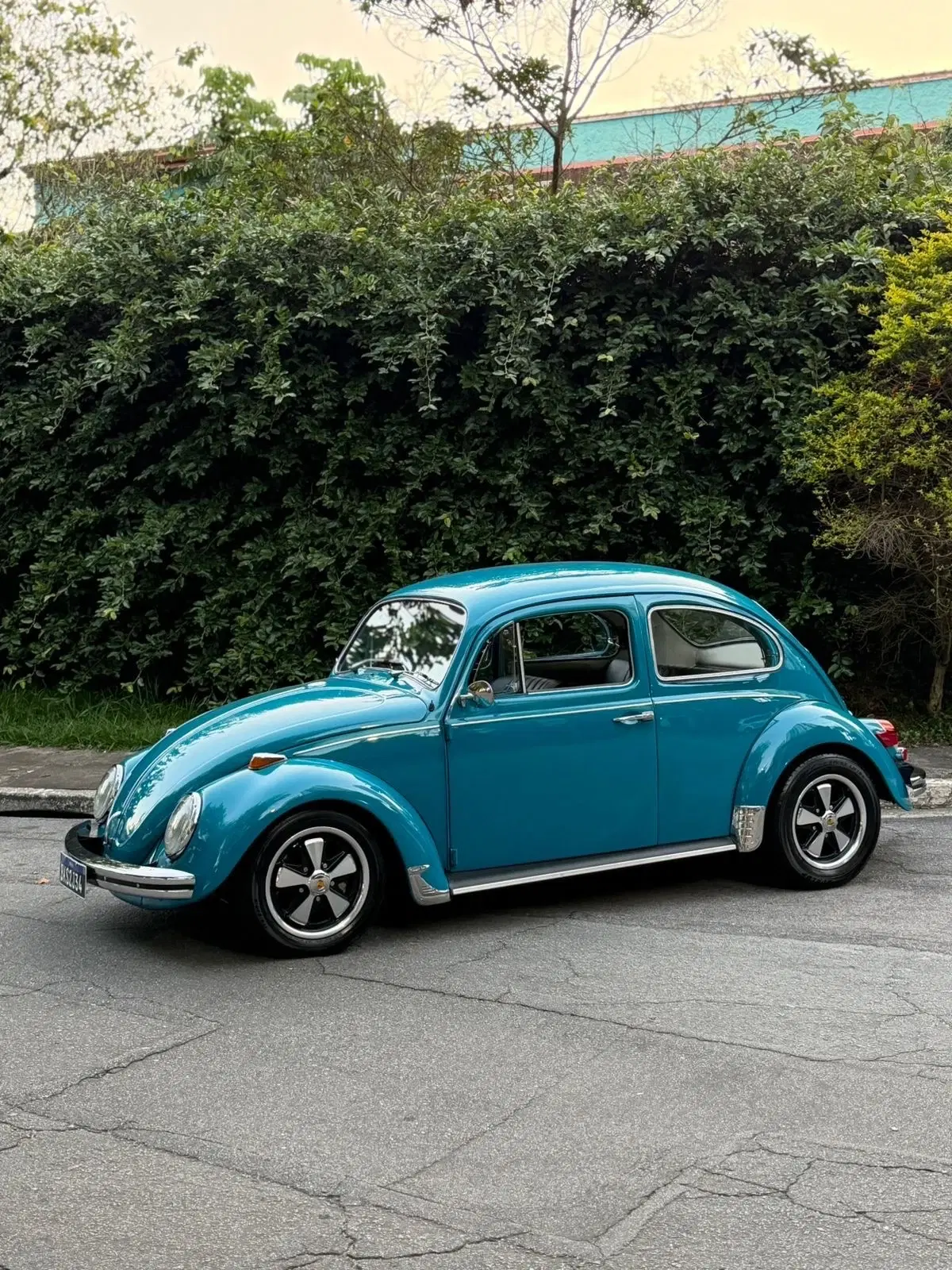 5ª imagem da campanha