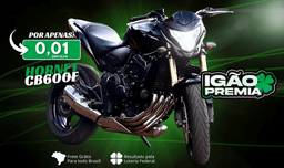 9º-ED. Hornet dos sonhos