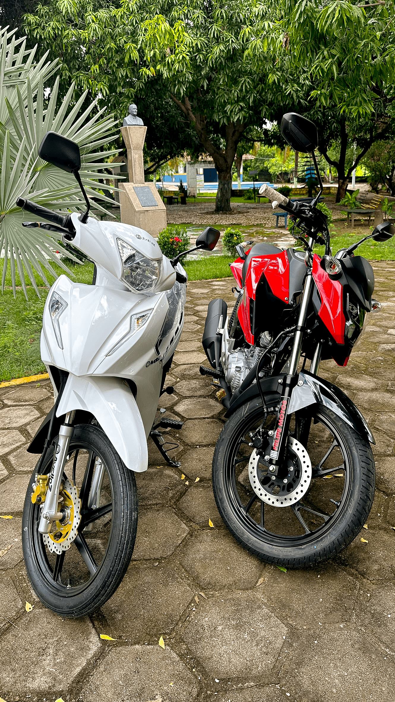 4ª imagem da campanha