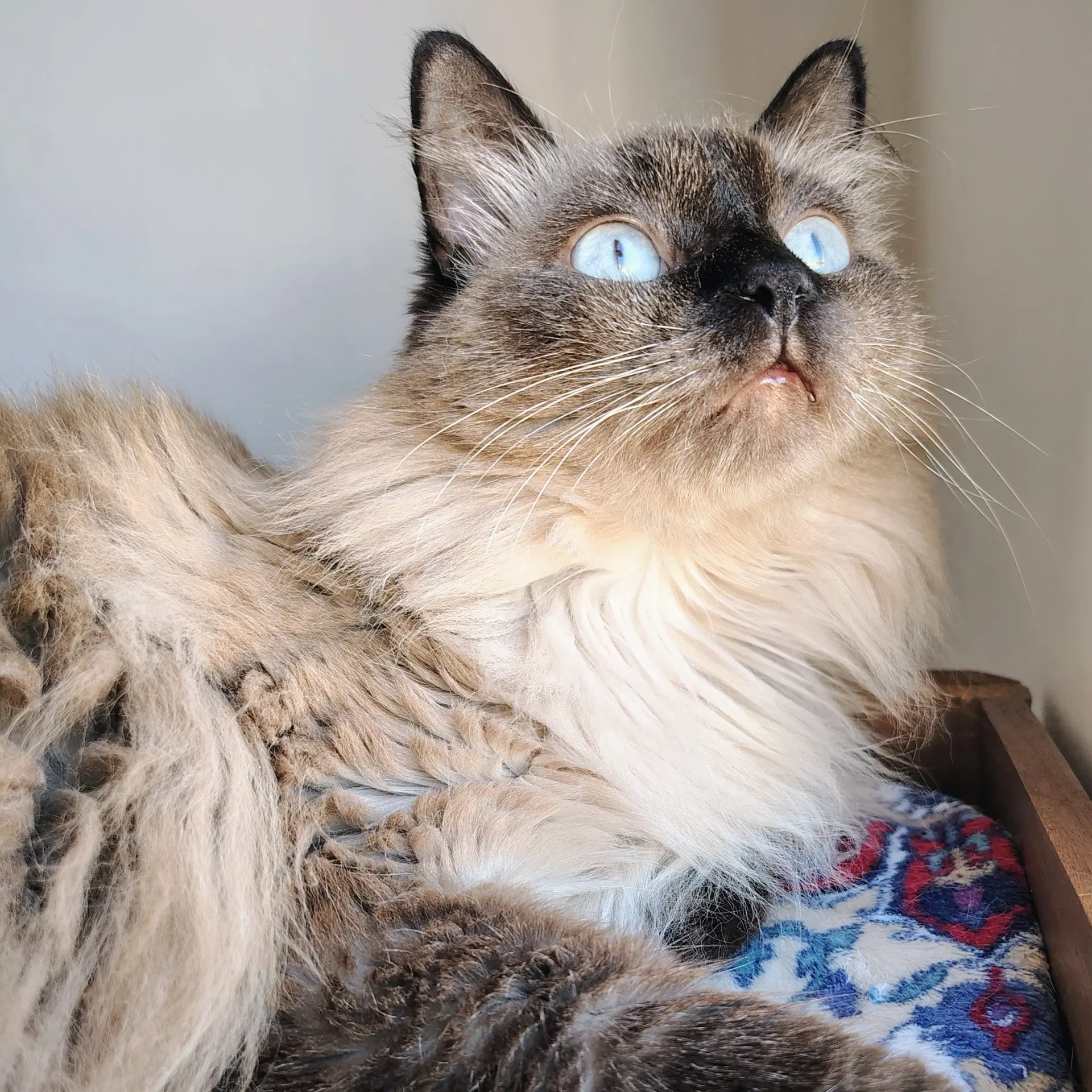 2ª imagem da campanha