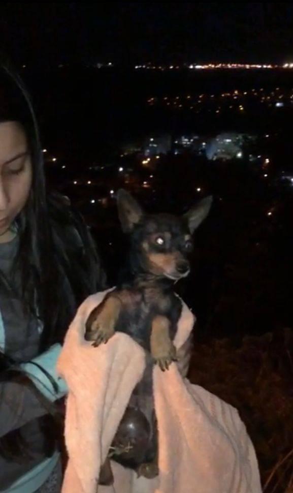 6ª imagem da campanha