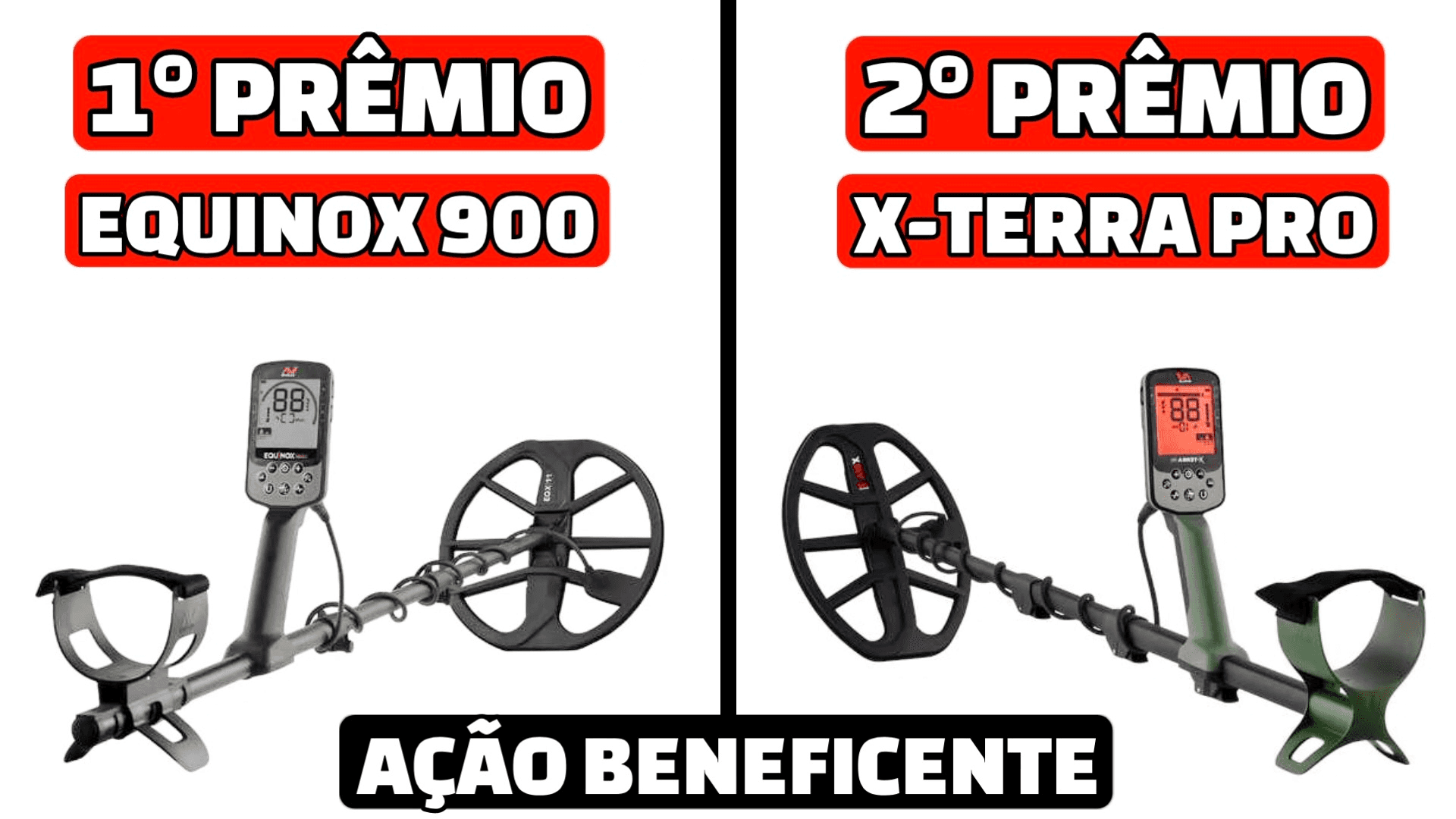 Ação beneficente