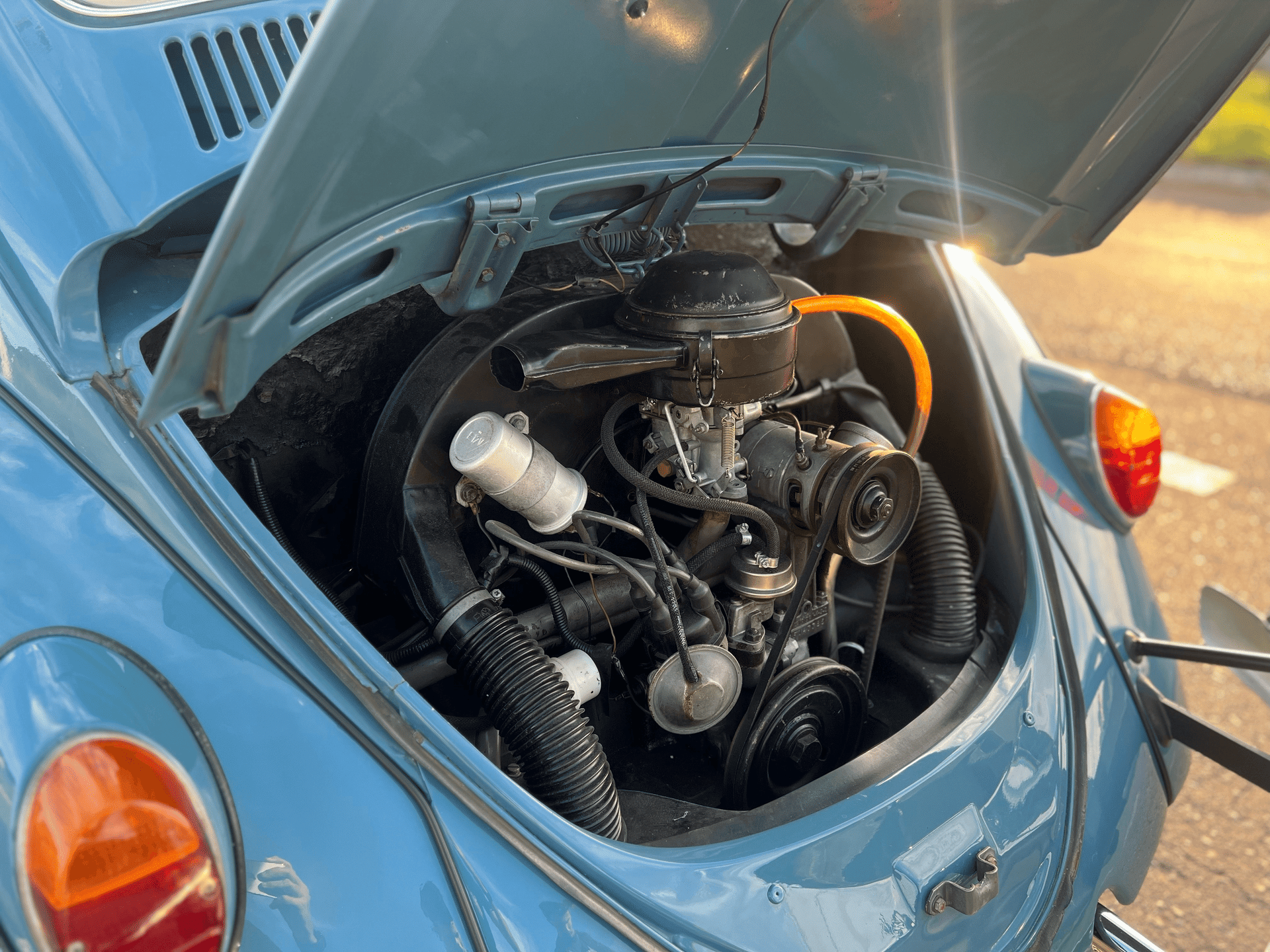 10ª imagem da campanha