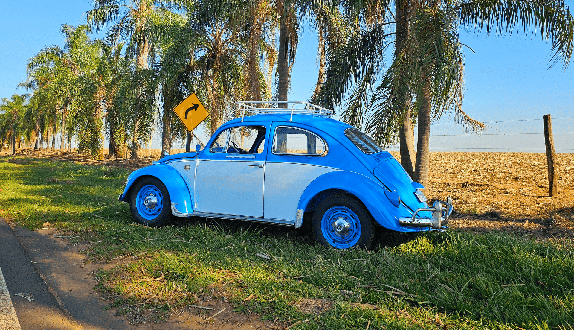 5ª imagem da campanha