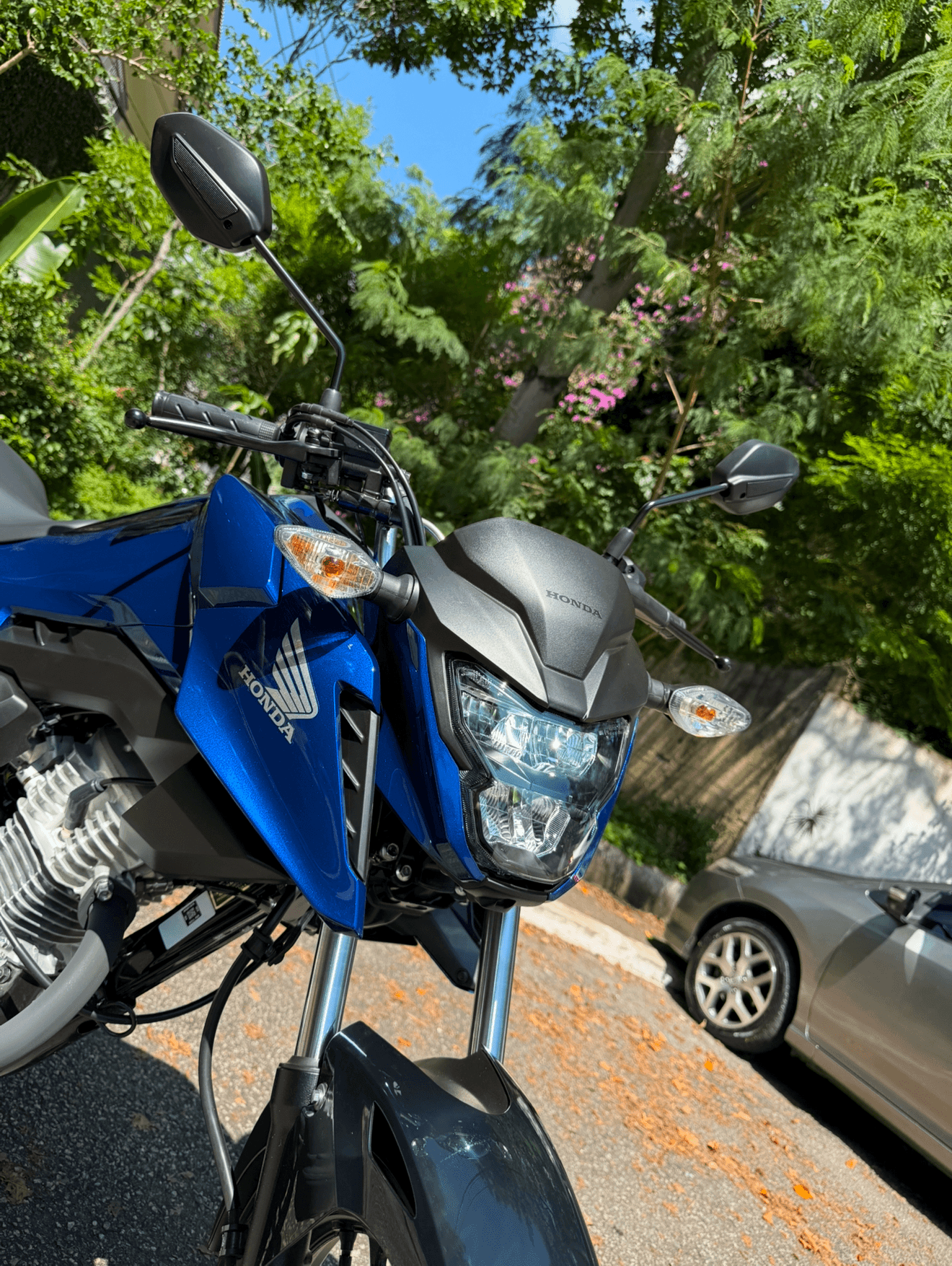 1ª imagem da campanha