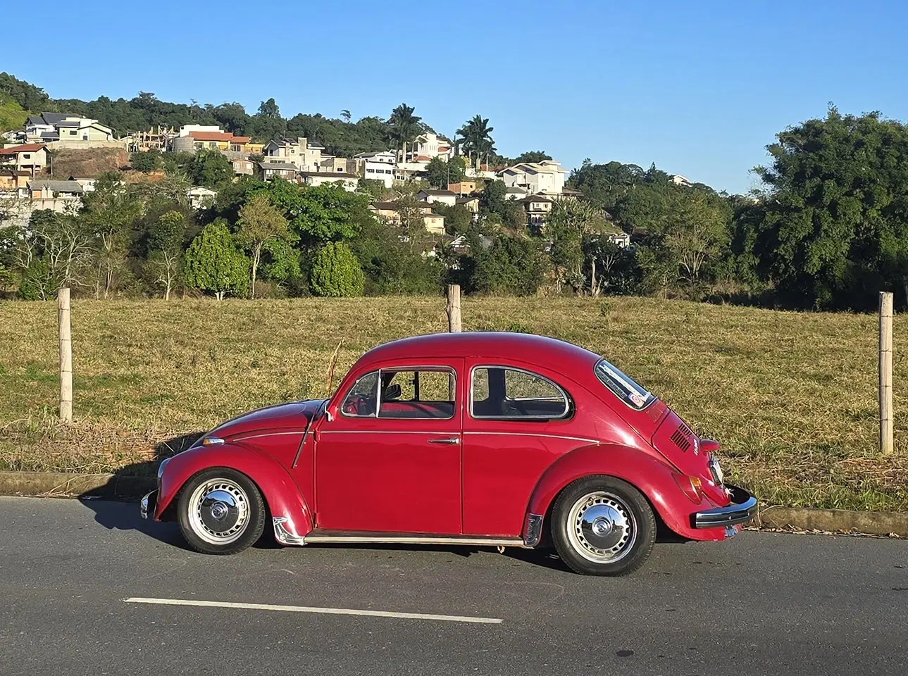 13ª imagem da campanha