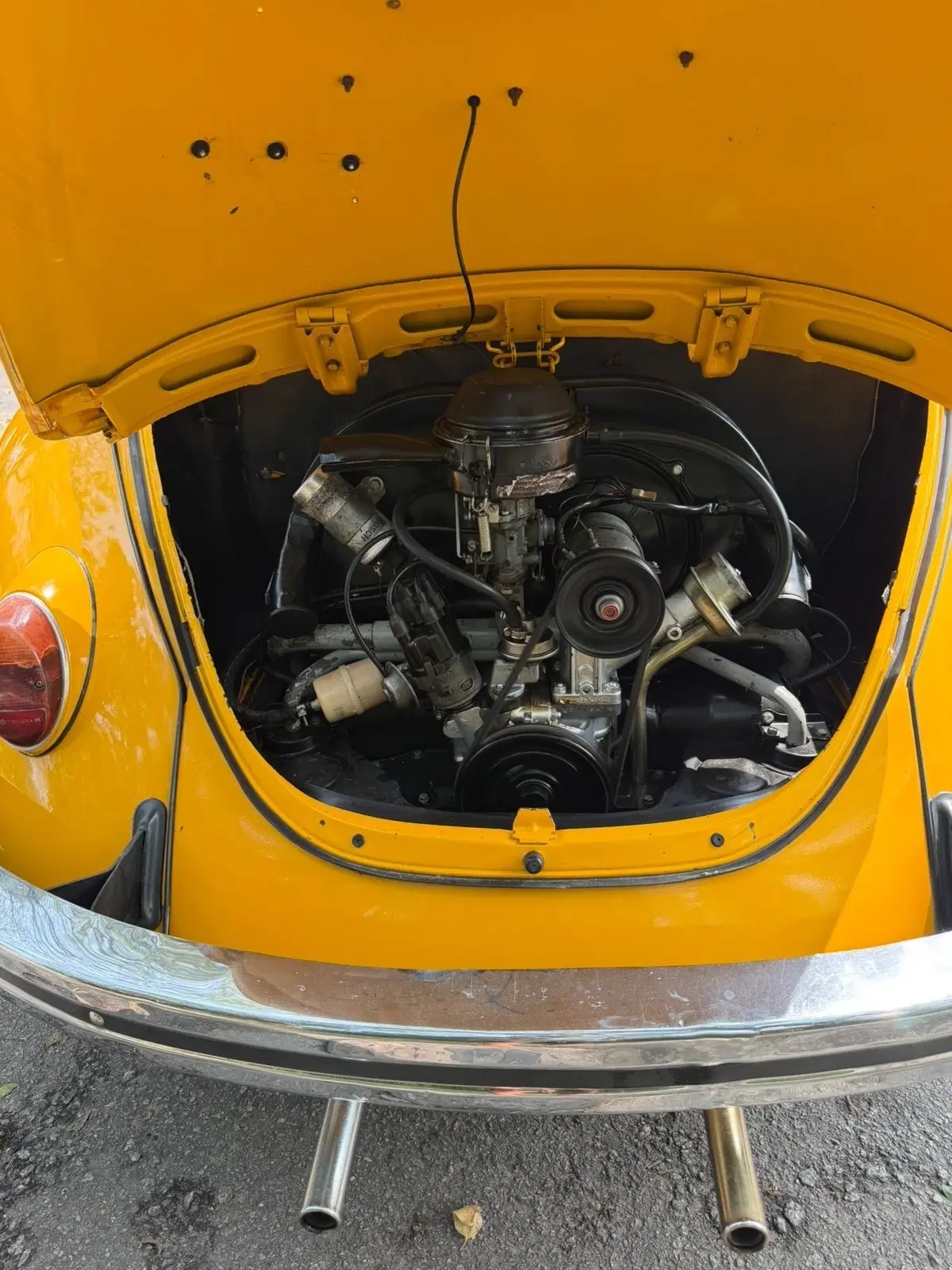 10ª imagem da campanha