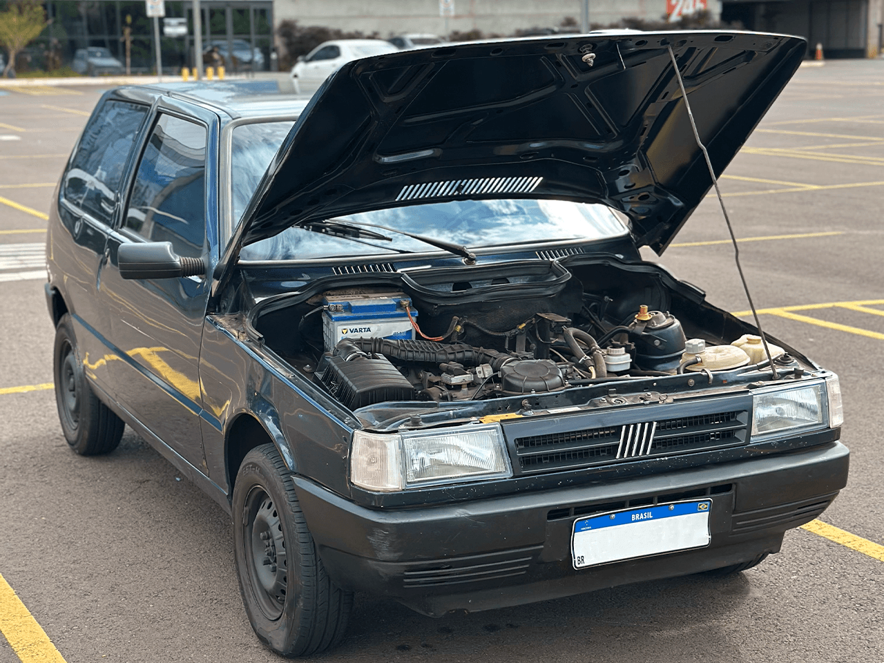 10ª imagem da campanha