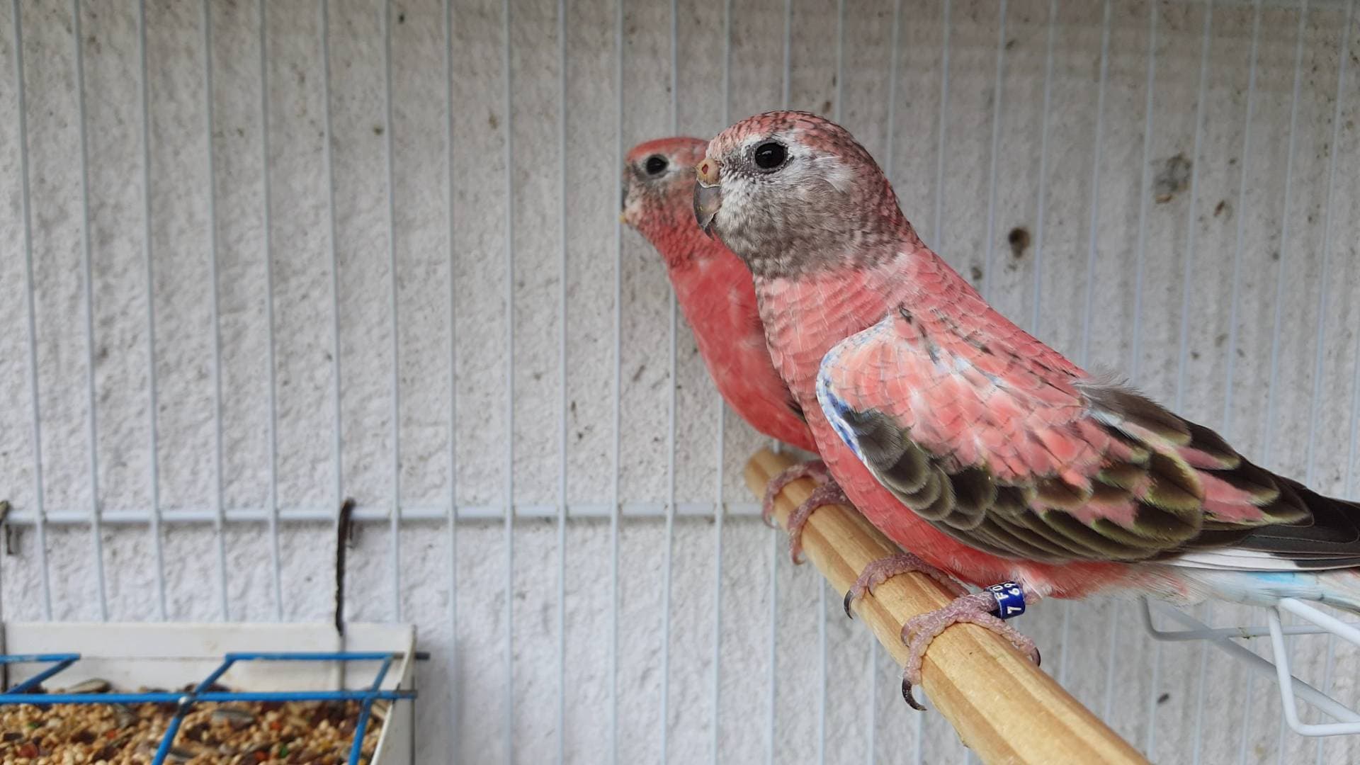 2ª imagem da campanha