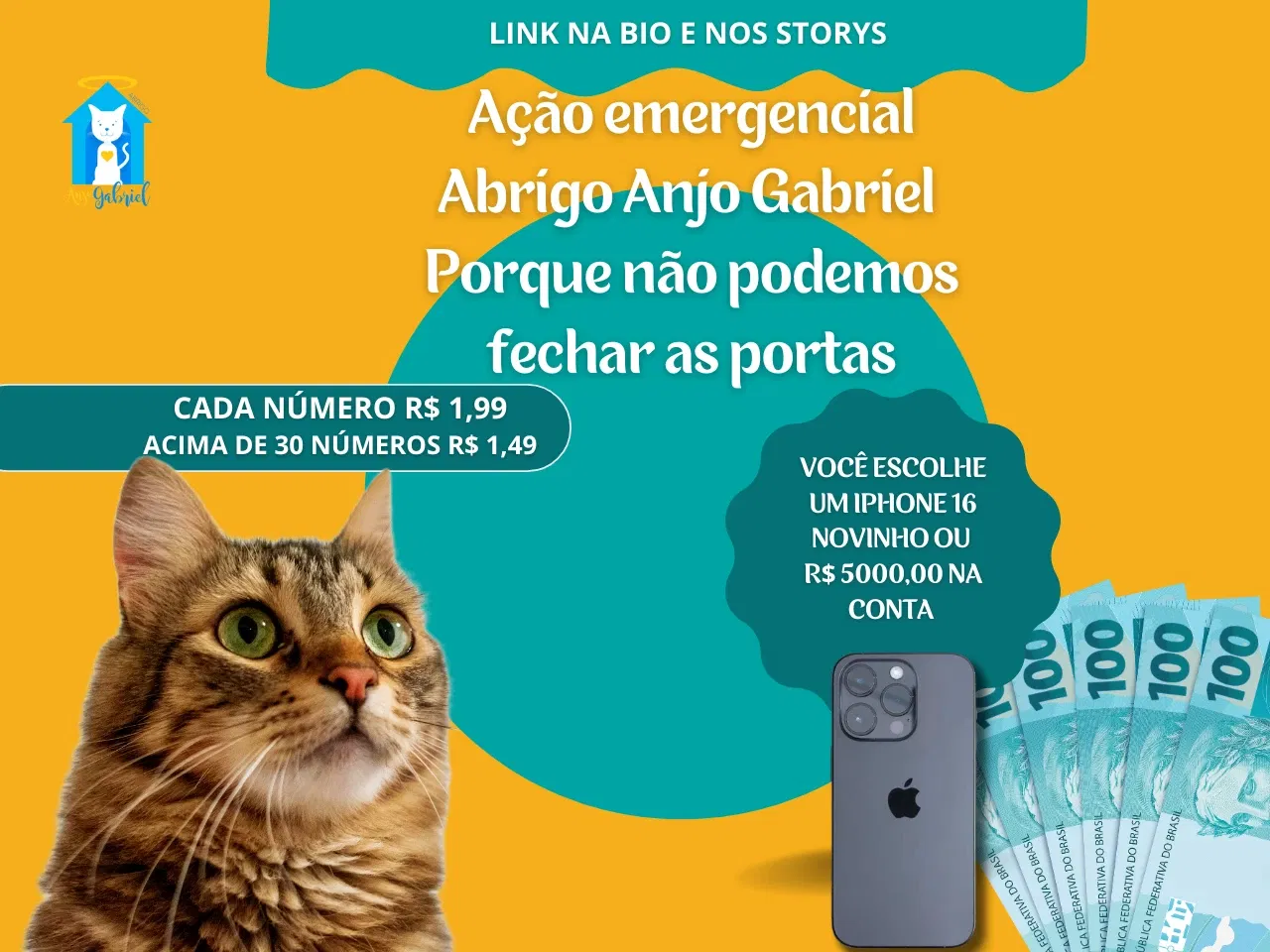 AÇÃO - VAMOS MANTER AS PORTAS DO ABRIGO ABERTA