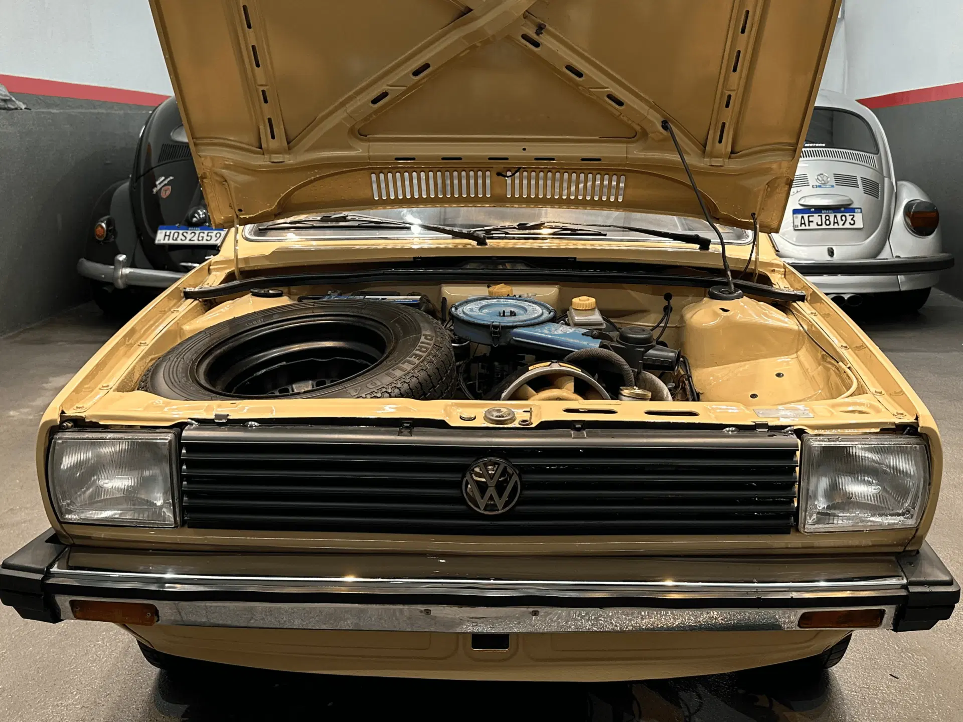 10ª imagem da campanha