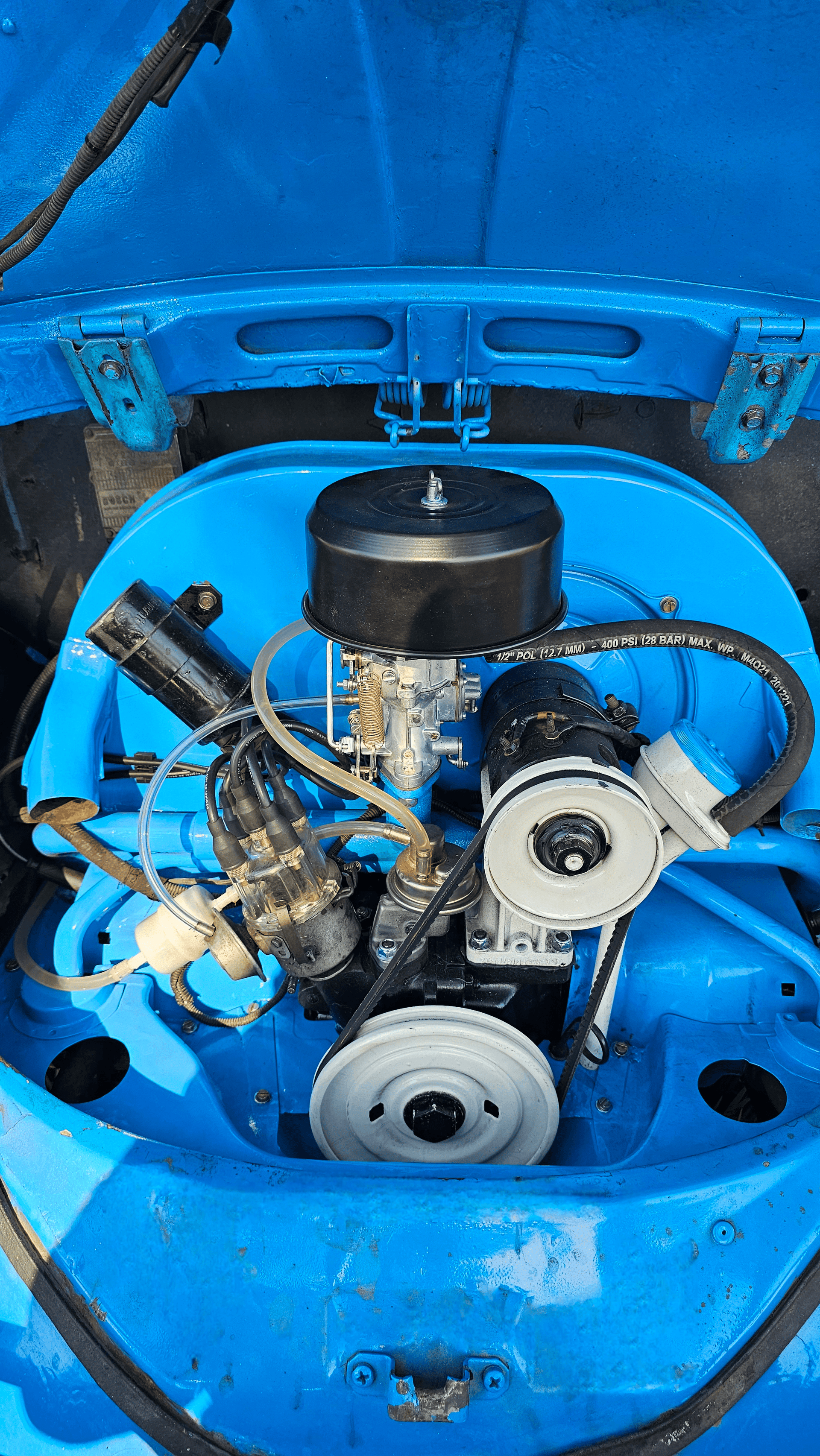 11ª imagem da campanha