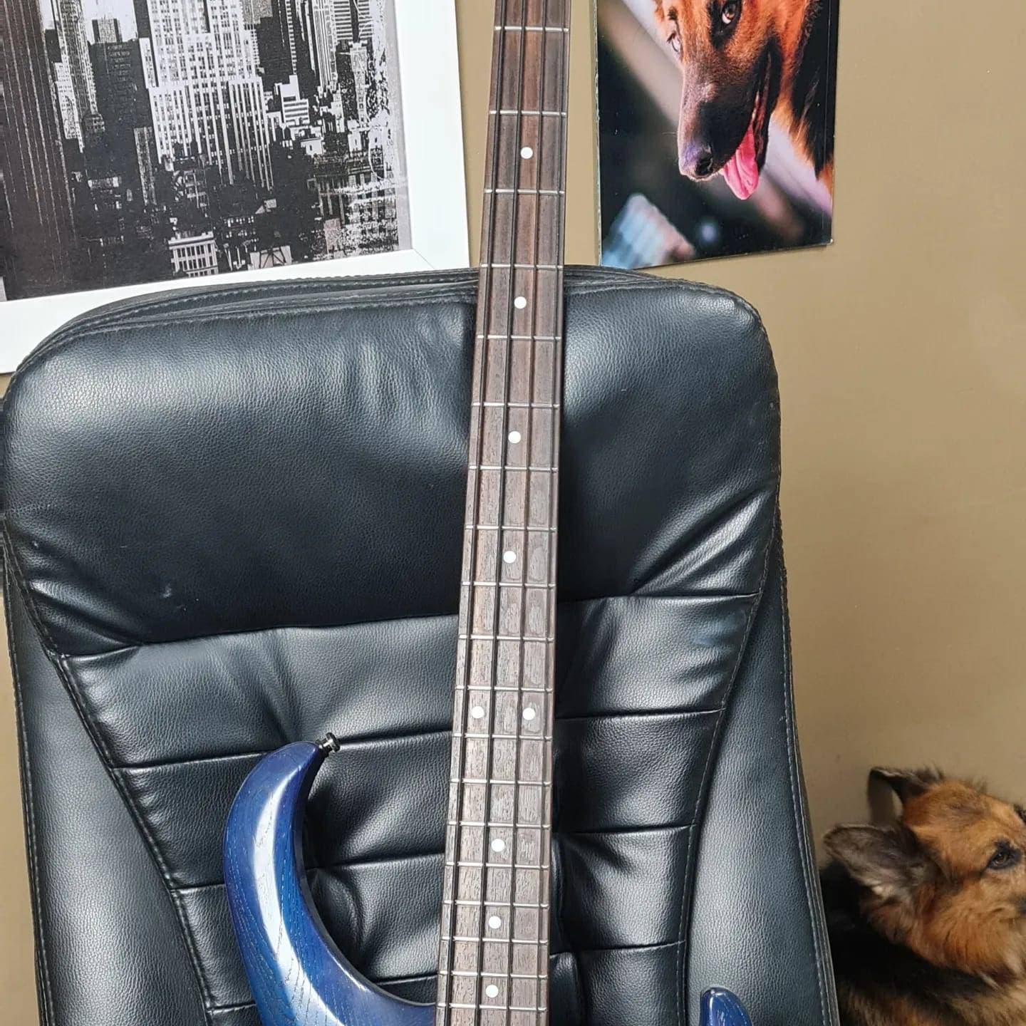 3ª imagem da campanha