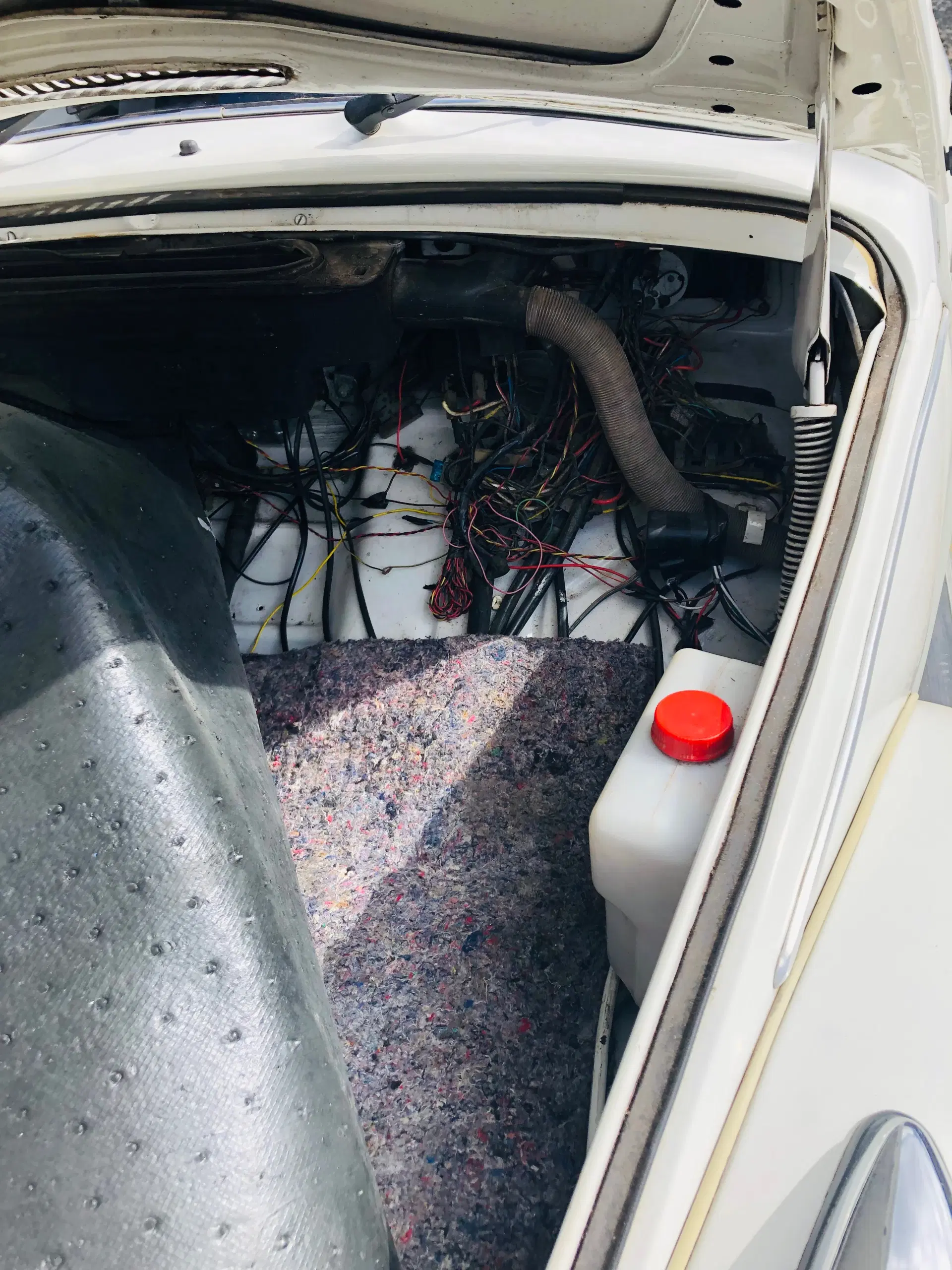 12ª imagem da campanha