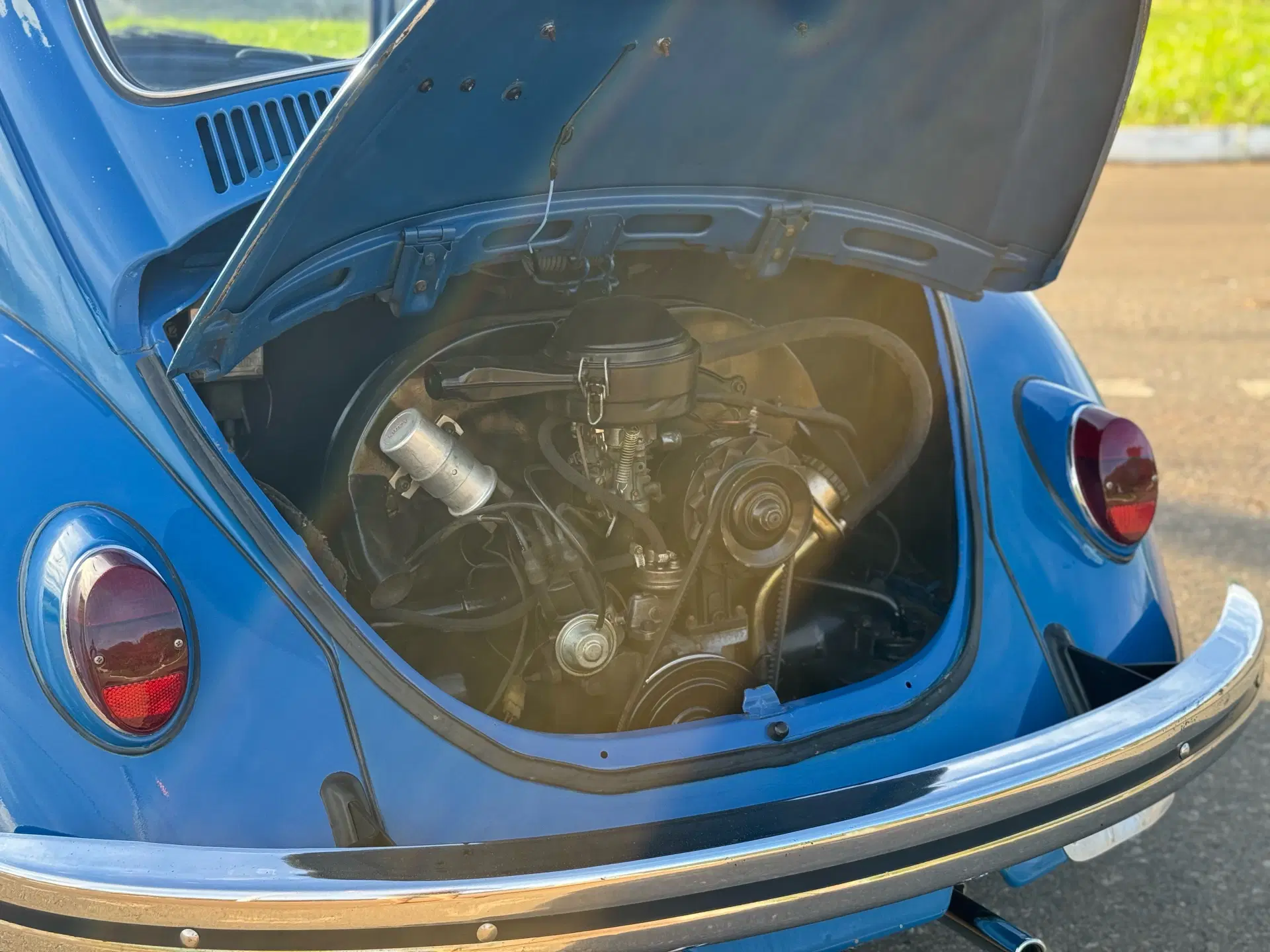 8ª imagem da campanha