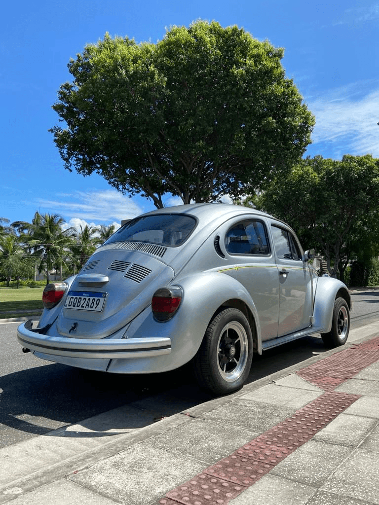 2ª imagem da campanha