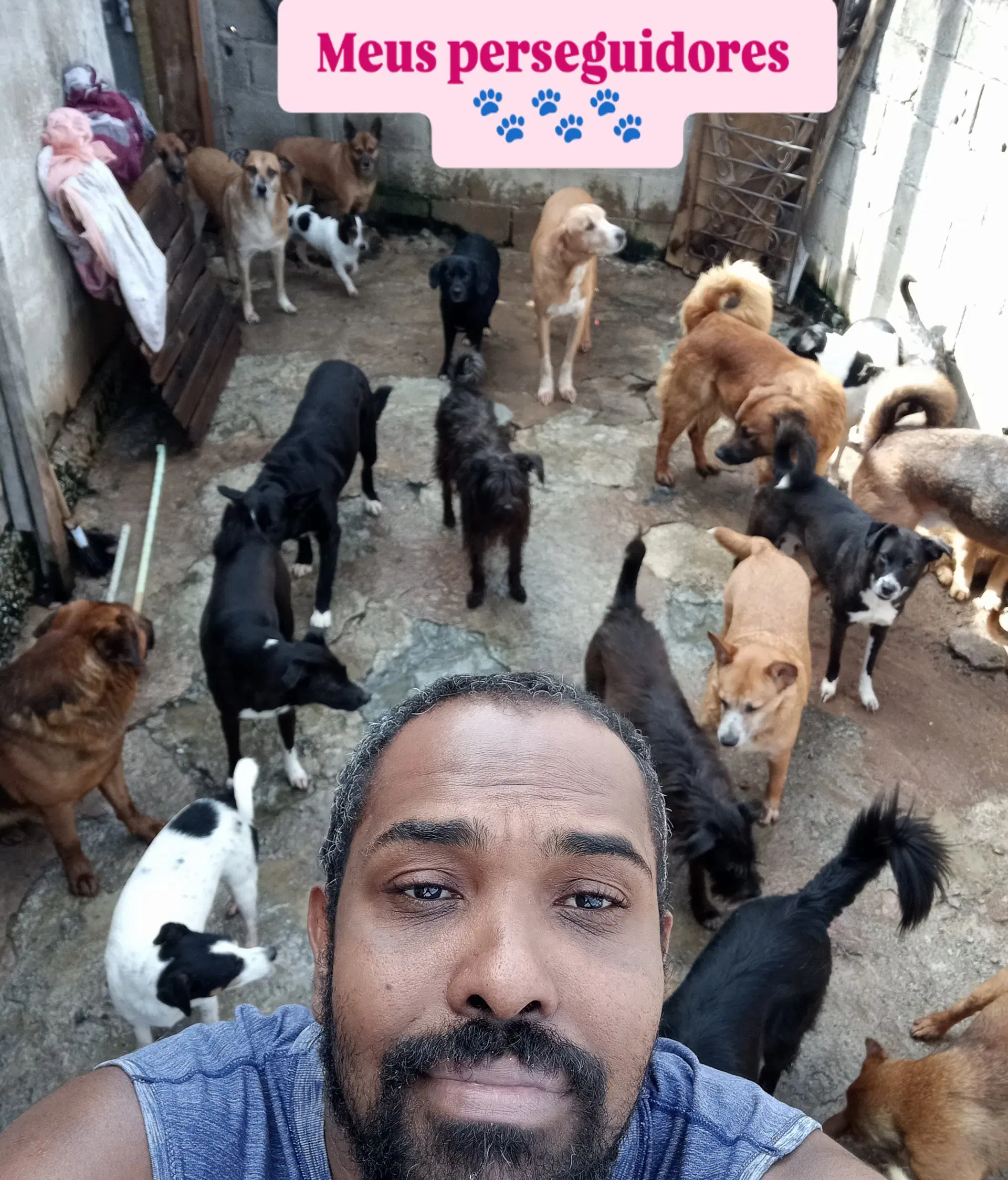 2ª imagem da campanha