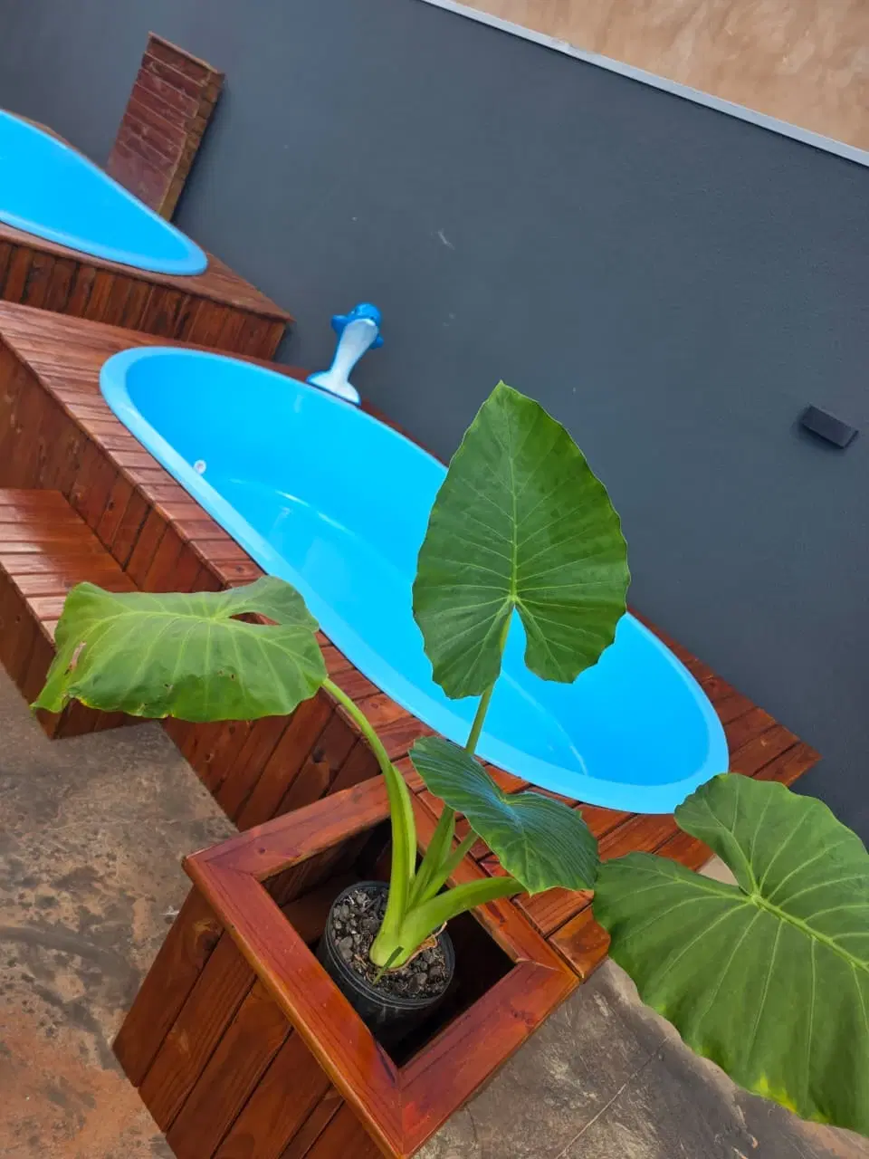 3ª imagem da campanha