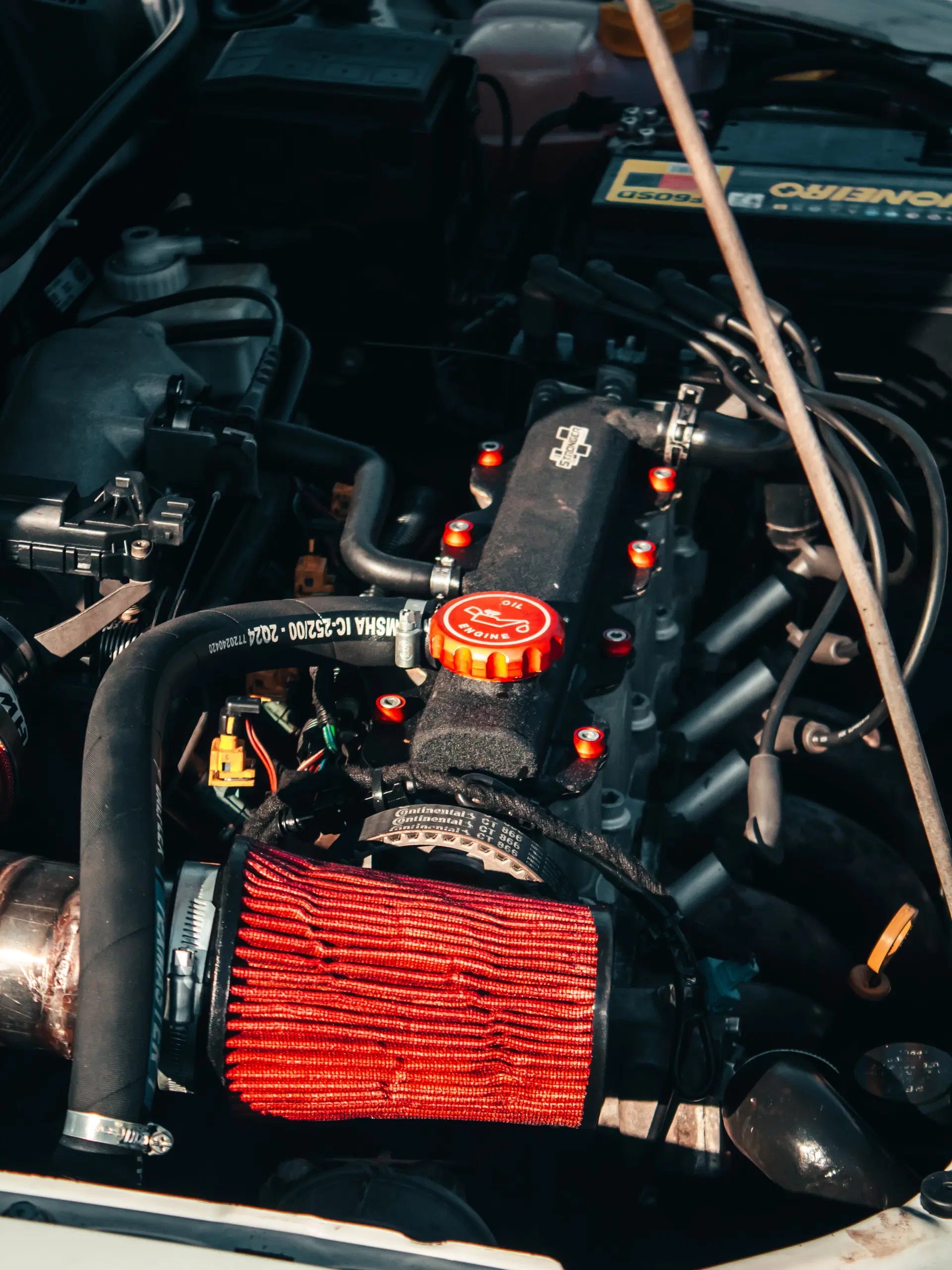 12ª imagem da campanha