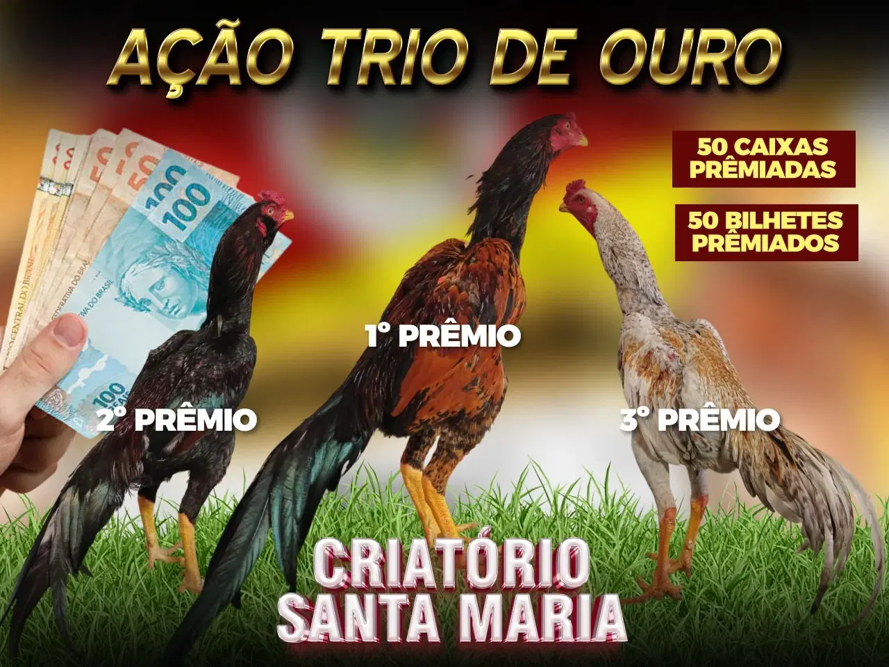 1ª imagem da campanha