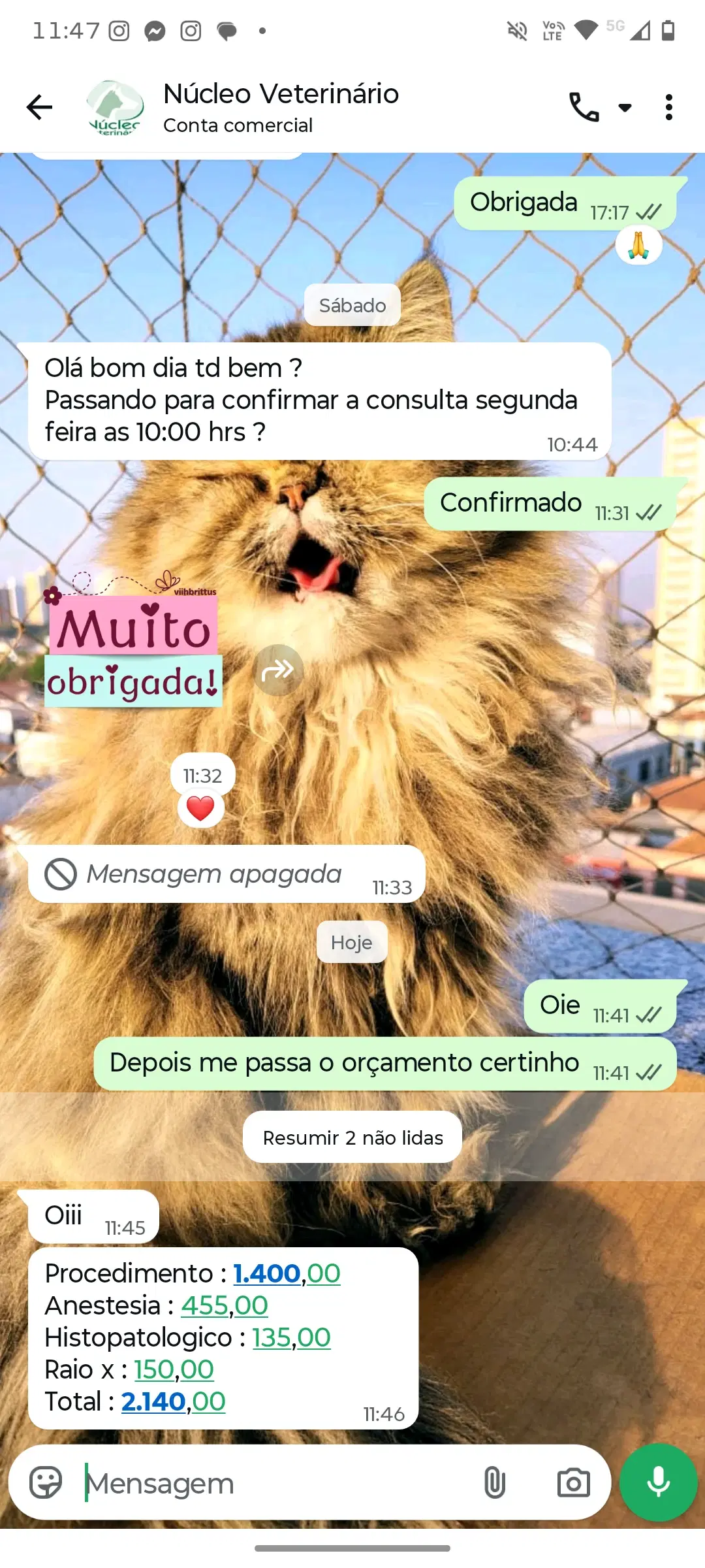 2ª imagem da campanha