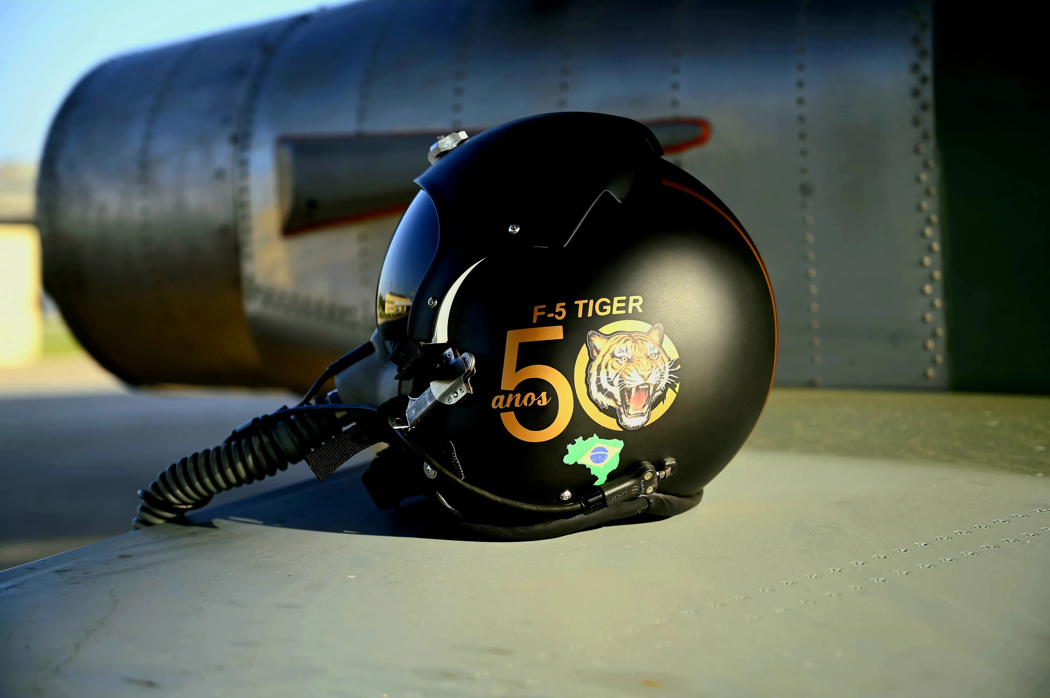 Capacete de Voo dos 50 Anos do F-5 na FAB