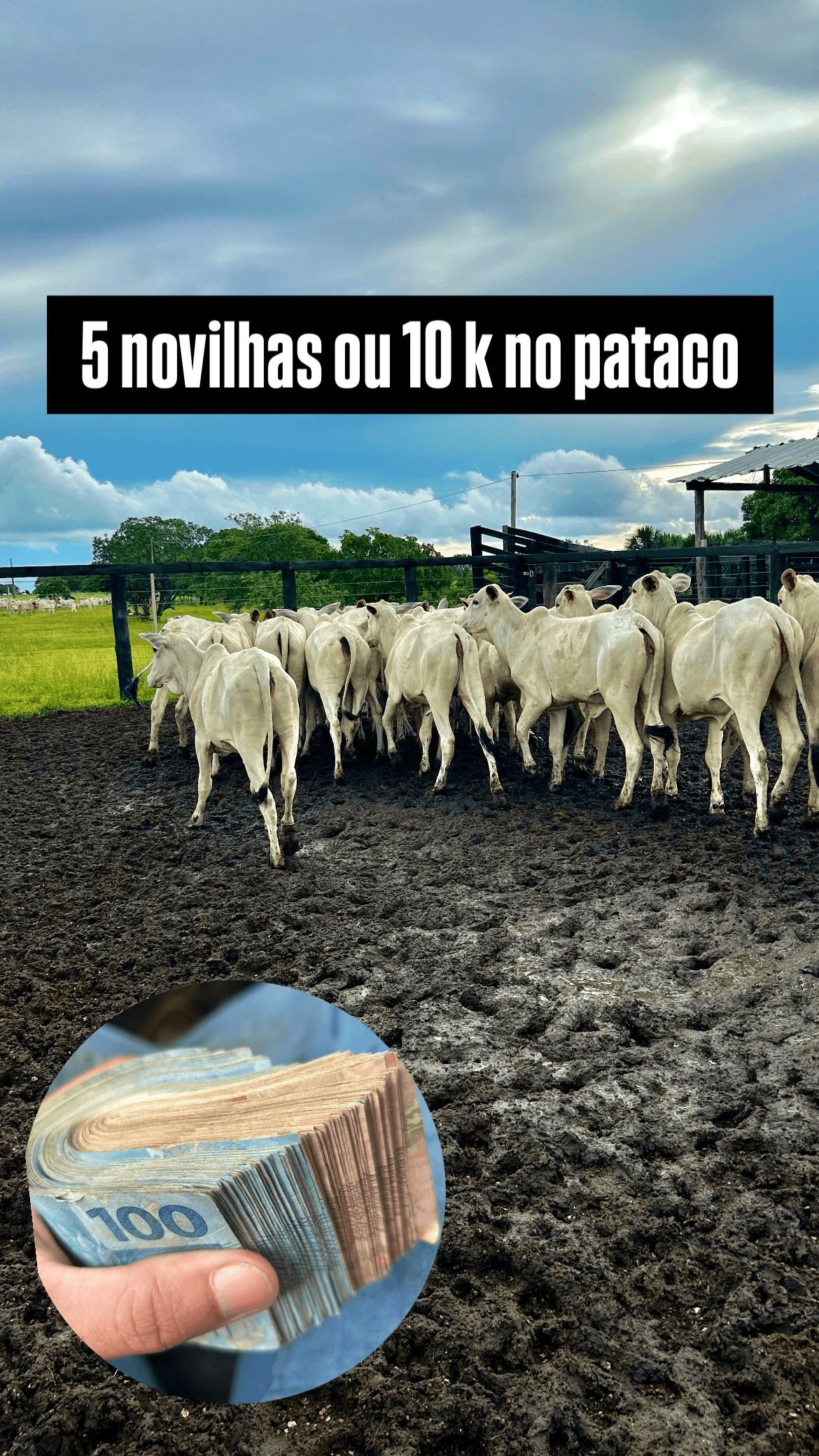 1ª imagem da campanha