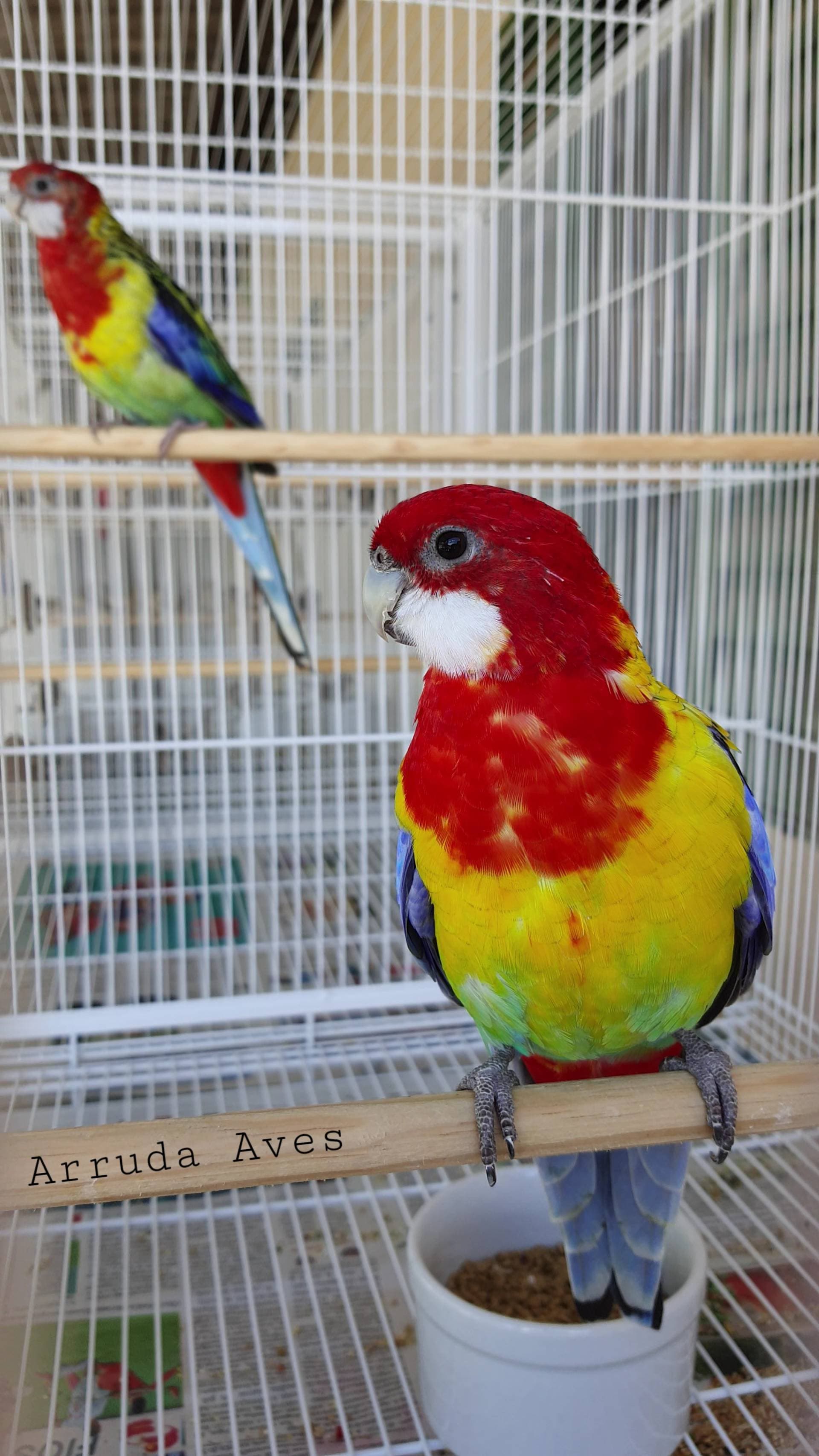 5ª imagem da campanha